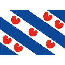 Vlag Friesland 70 X 100 cm