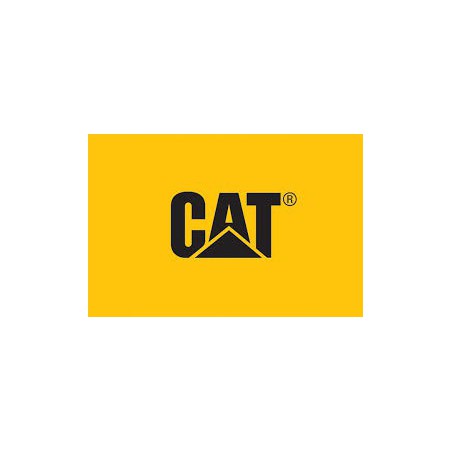 Cat filter 480-4313